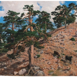 Imagen de la obra