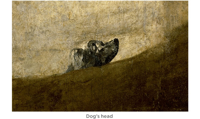 Perro semihundido