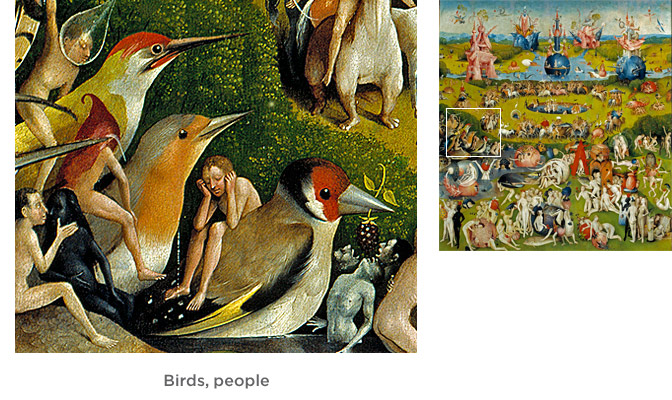 Birds, people