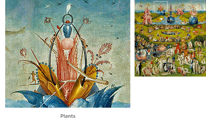 Plants