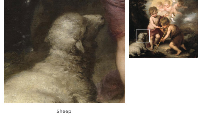 Sheep