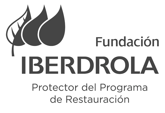 Fundación Iberdrola España. Protector del Programa de Restauración